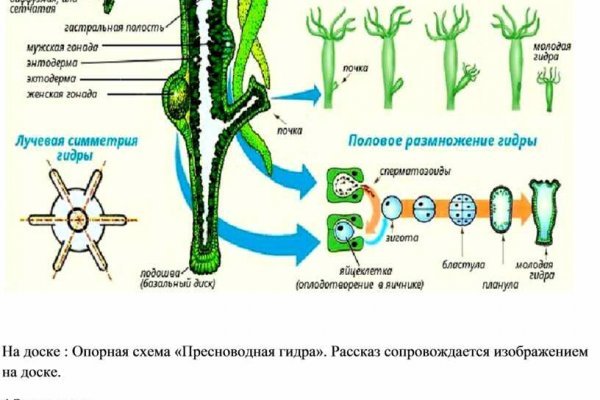 Кракен нрк